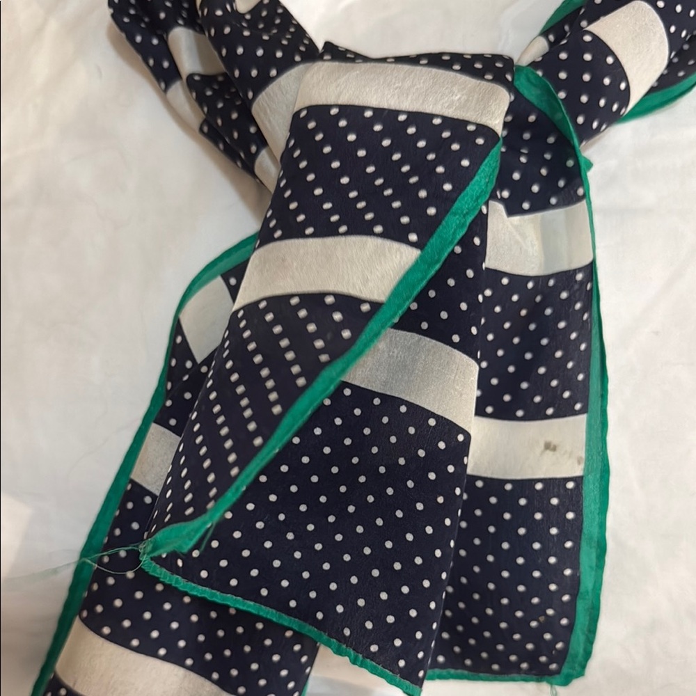 Polka Dot and Stripe Scarf with Green Trim - Picture 2 of 5